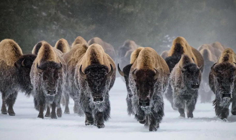 邢台盛锦机械制造有限公司轮播图4